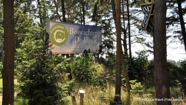 Excursie Boswachterij De Kievit – een (foto-)verslag