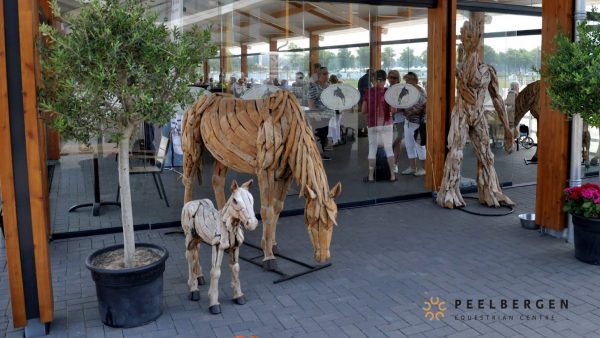 Excursie hippisch centrum De Peelbergen – juli 2018