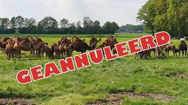 KBO halve dagreis “Tour de Kameel” GEANNULEERD