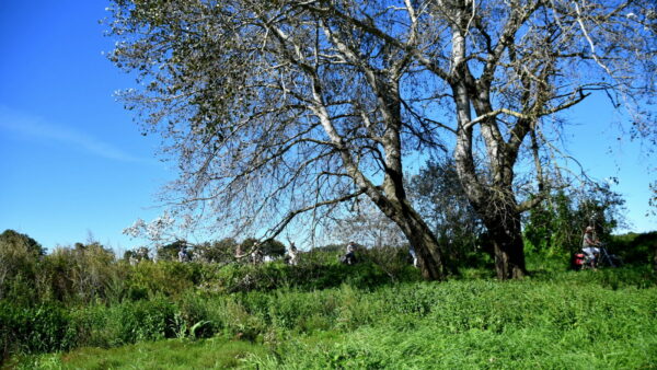 2023_0906_KBO-najaarsfietstocht_LGI (53)