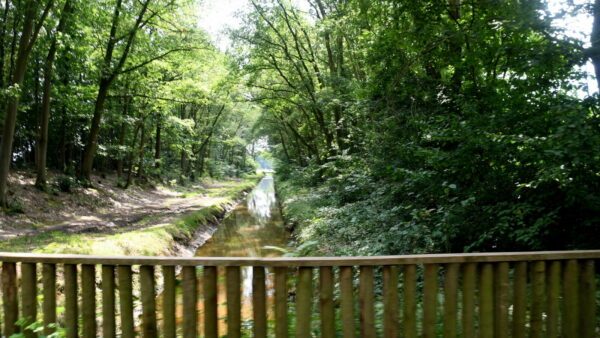 20240717_KBO_Zomerfietstocht_LGI (29)