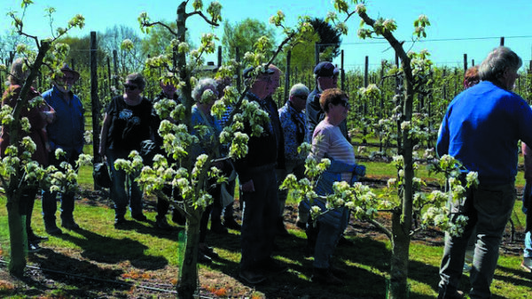 Interessante en mooie Bloesemtocht bij Fruitbedrijf Stappers !!