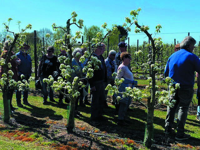 Interessante en mooie Bloesemtocht bij Fruitbedrijf Stappers !!