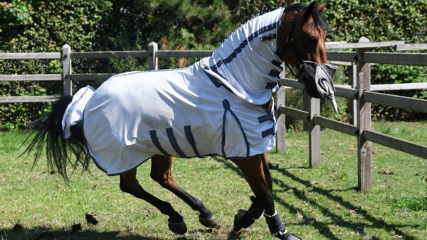 20250811_KBO_Carpe_Diem (46)