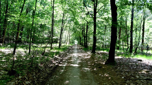 18-20260527_Sen_Baarlo_Voorjaarsfietstocht_LGI (58)